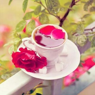 حضورها...