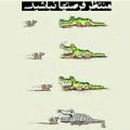 فرصت ها...