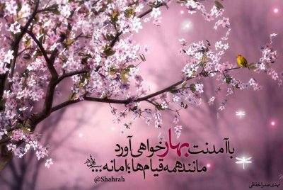 یا اباصالح المهدی عج...